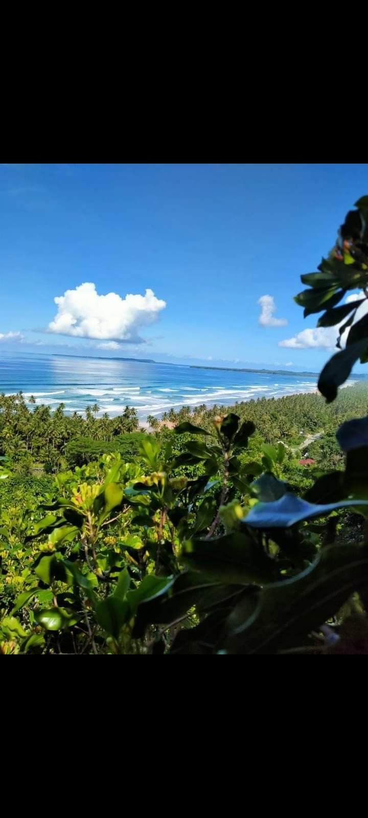 Desa Putra Jaya Tampak Dari Puncak Gunung Perkebunan Cengkeh